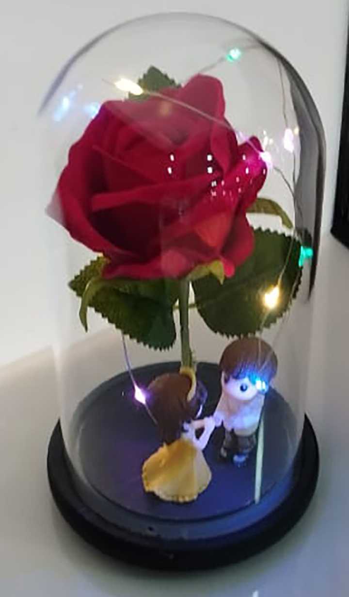 Cupula Rosa Eterna Principe Y Princesa
